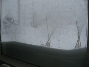 20110304_snow01