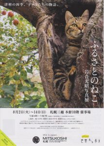 cat_photo01