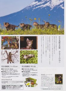 cat_photo02